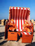 Urlaub mit Kindern in Warnem�nde