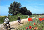 Natururlaub in K�hlungsborn